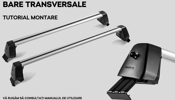 Bare Transversale